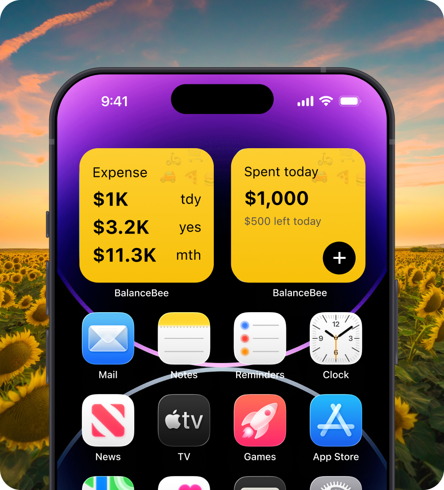 BalanceBee Screenshot 4